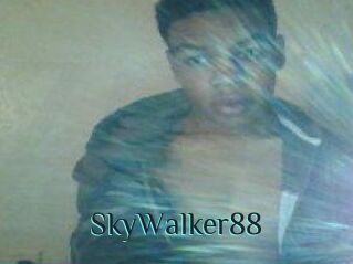 SkyWalker88