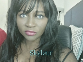 Skyleur