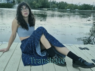 Transbate