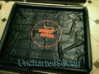 UnchartedSexion