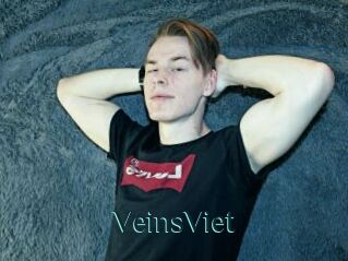 VeinsViet