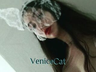 VeniceCat