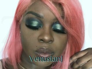 VenusianJ