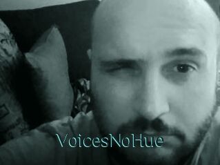 VoicesNoHue