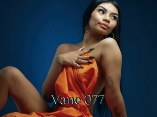 Vane_077