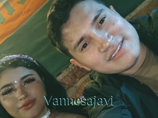 Vannesajavi