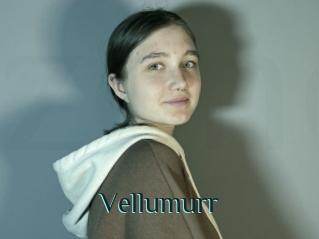 Vellumurr