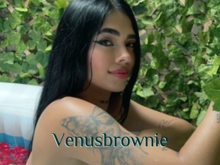 Venusbrownie