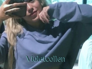 Violetcollen