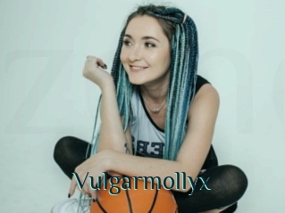 Vulgarmollyx