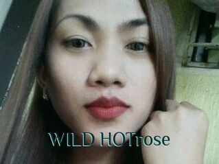 WILD_HOTrose