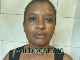 WILD_ROSEY40