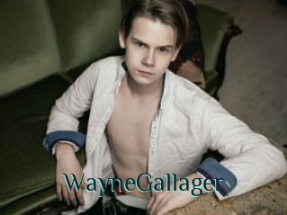 WayneGallager