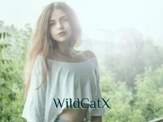 Wild_CatX