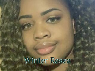 Winter_Rosea