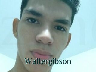 Waltergibson