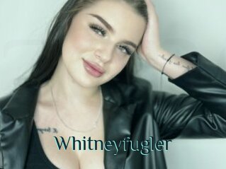 Whitneyfugler