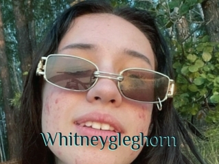 Whitneygleghorn