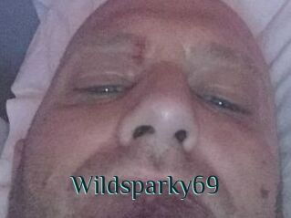 Wildsparky69