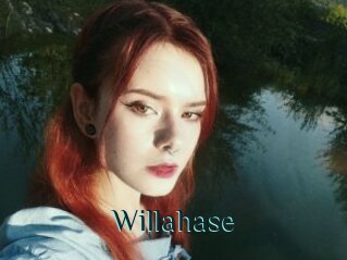 Willahase