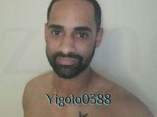 Yigolo0388