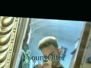 YoungOtter