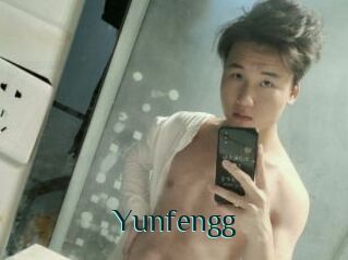 Yunfengg